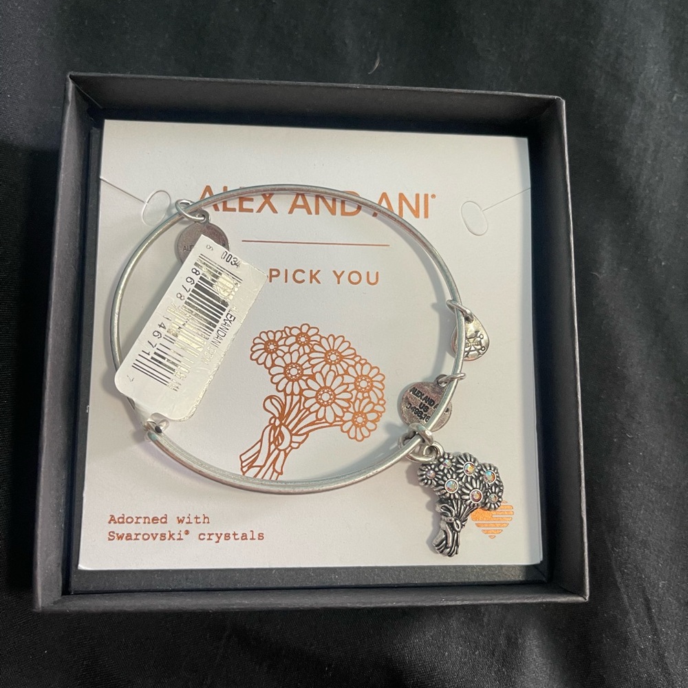 alex and ani bracelet